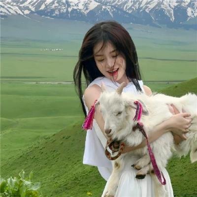 艳星发明家